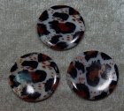 Snäckskalscoins, Leopard/vit/brun/svart