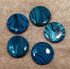 Snäckskalscoin, Mönstrad Blå/Svart