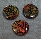 Snäckskalscoins, Leopard/Guld/Brun